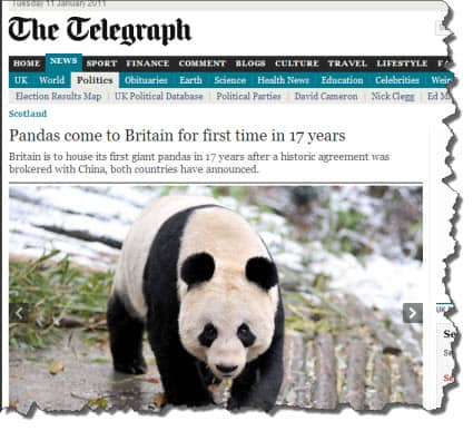 Pandas from China