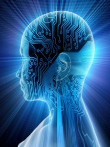 Connecting with the digital brain
