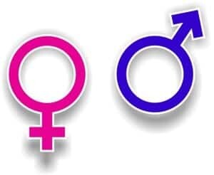 Men and Women Want Different Things From Your Website