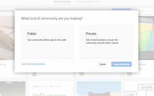Screenshot of Google+ Community