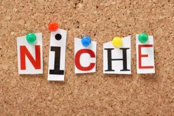 The word Niche on a cork notice board