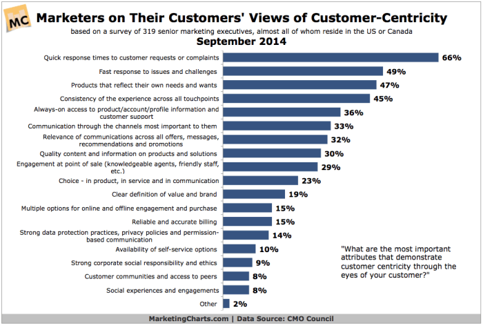 Graph showing what makes a company customer centric