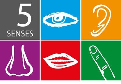 Graphic showing five senses